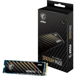 MSI SSD SPATIUM M450 1To